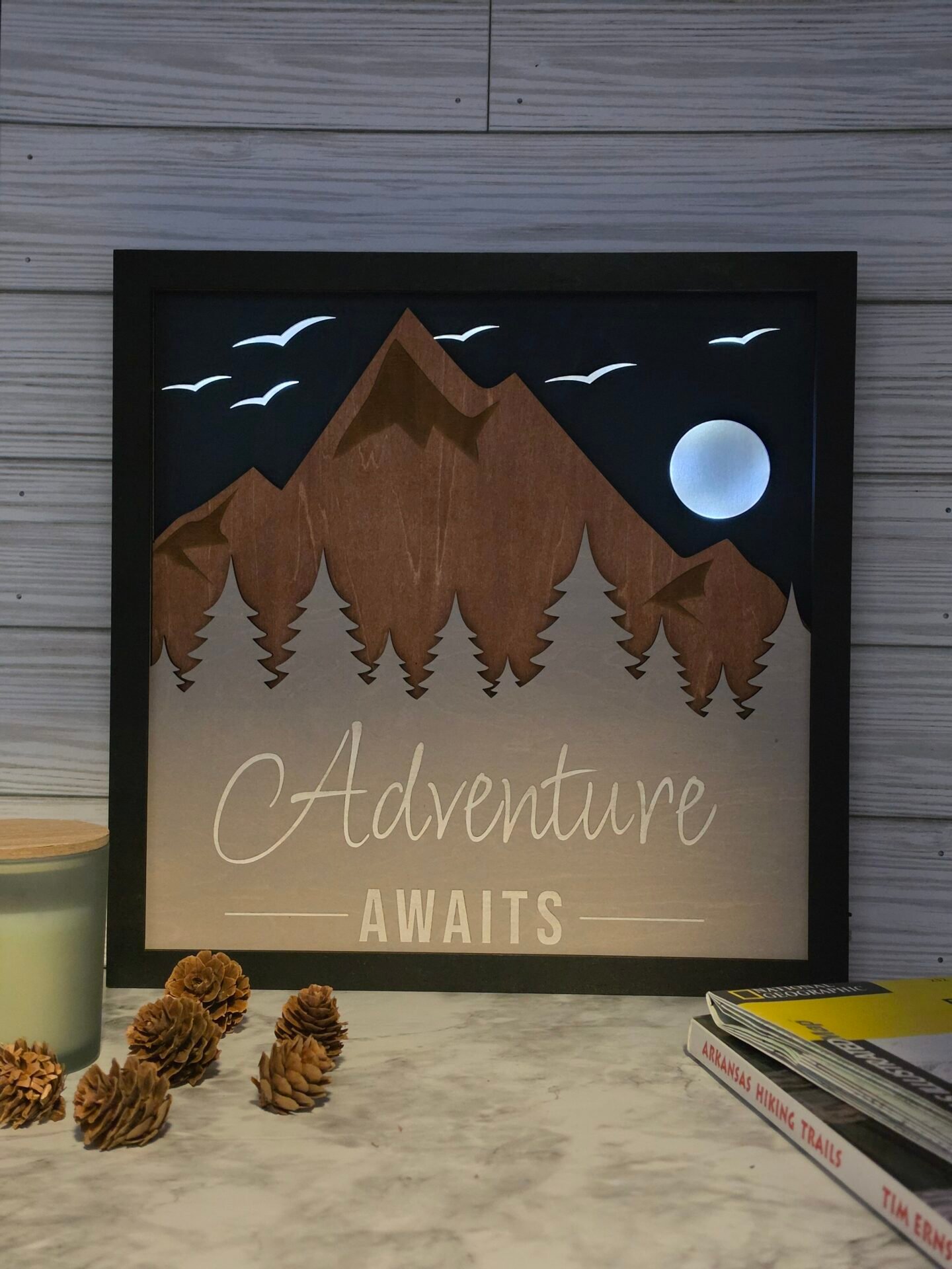 adventure awaits birds4 12 in