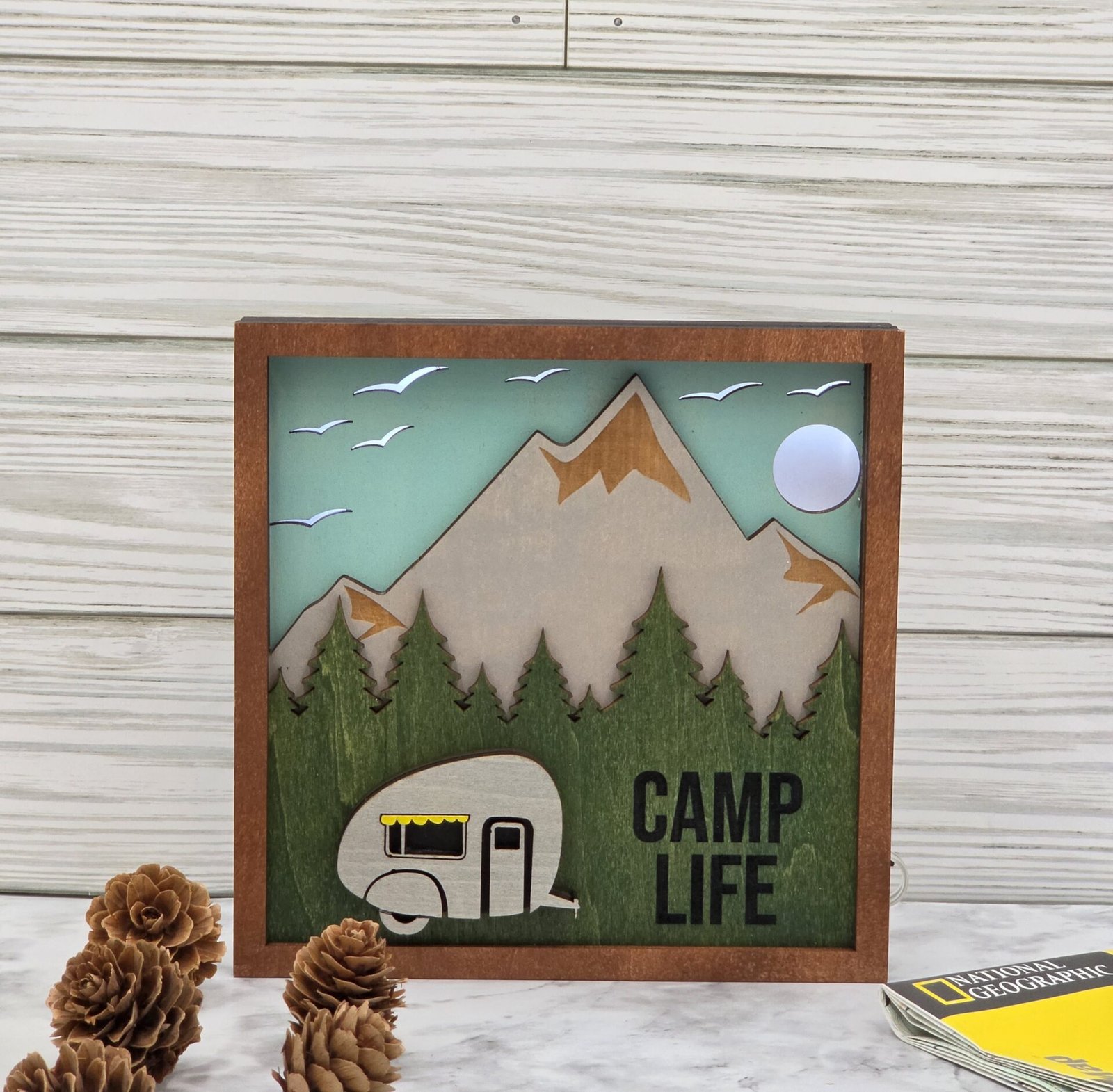 camp life2 6 in